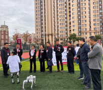 我们但愿通过如许的深度合